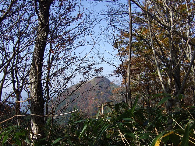 登山中に木枝の間から三ヶ上が見られる