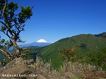 行者岳付近から富士山