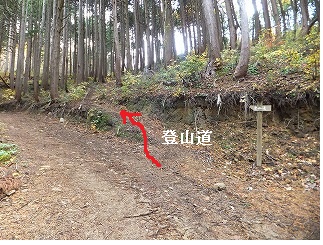 Ｔ字路に来ると右に登山道がある、どちらを行っても先で合流